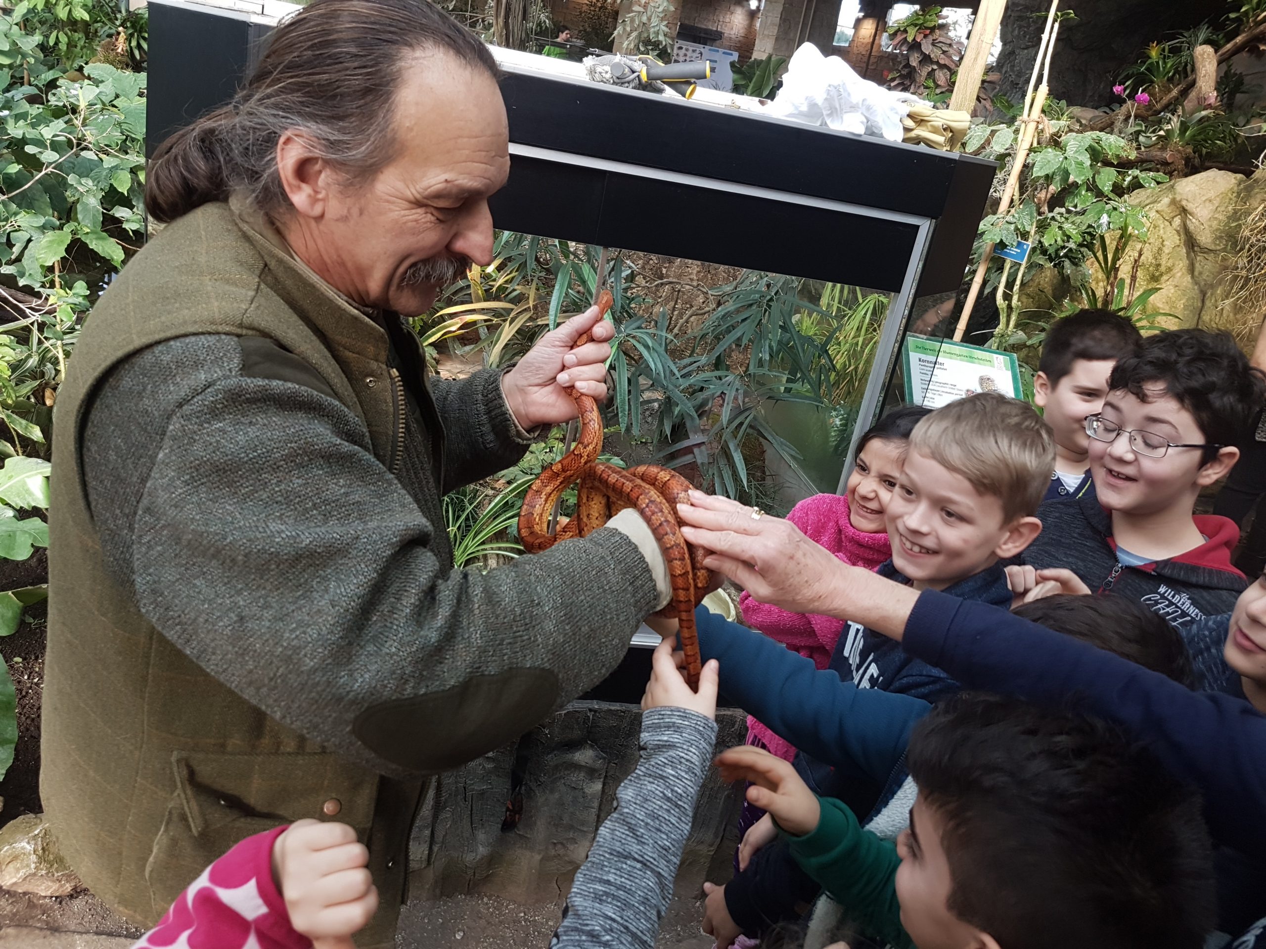 Kriechende Tierwelt (5)